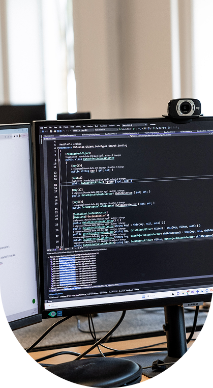 Senioer Developer Page Img
